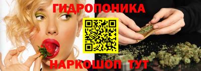 PSILOCYBIN Тверь