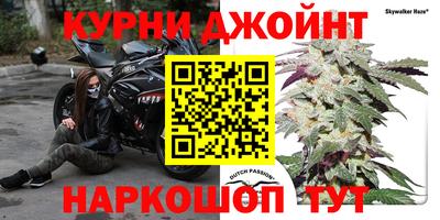 PSILOCYBIN Тверь