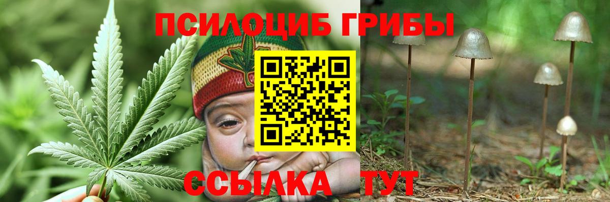 Псилоцибиновые грибы Psilocybine cubensis  Вход с VPN  Новый Уренгой  Псилоцибиновые грибы Psilocybe 